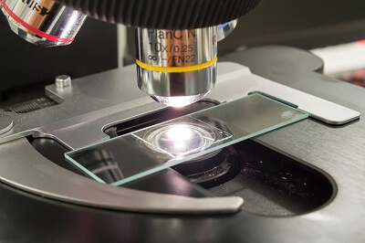 Microscope with Slide